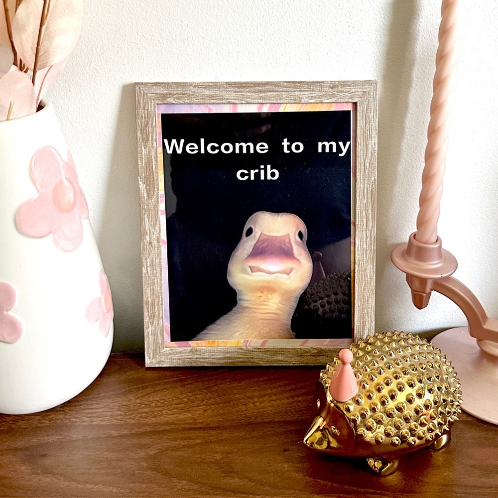 Welcome To My Crib Duck Selfie Silly Canvas Print Wall Hang Framed Art Quirky